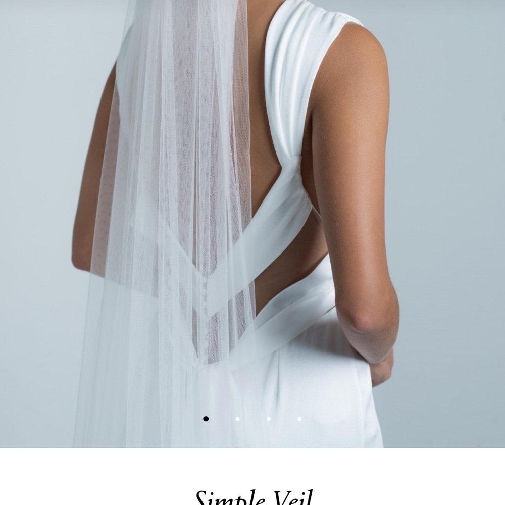 Rime Arodaky Simple Bridal Veil